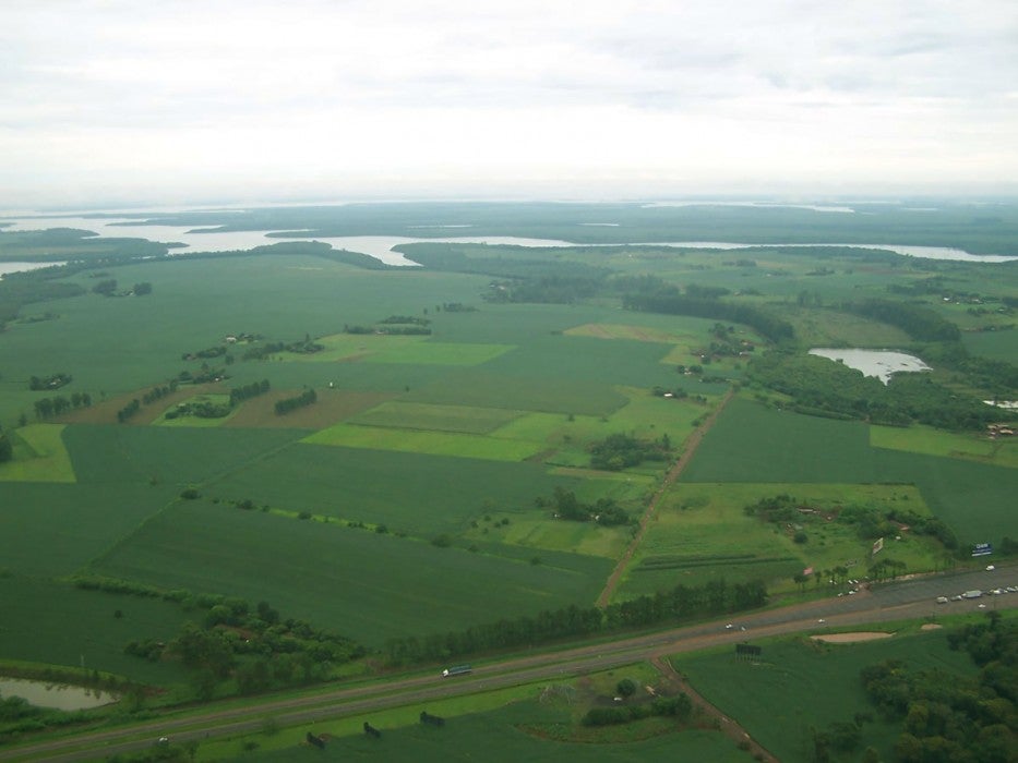 An aerial view of the Atlantic Forest shows an expanse of green fields, a river and trees, areas where "corridors" for animals may be possible.