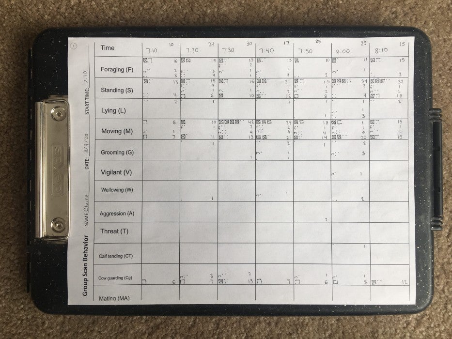 A sheet of paper attached to a clipboard. The paper has a table with bison behaviors in the left-hand column and cells where researchers have added observations about bison behavior.