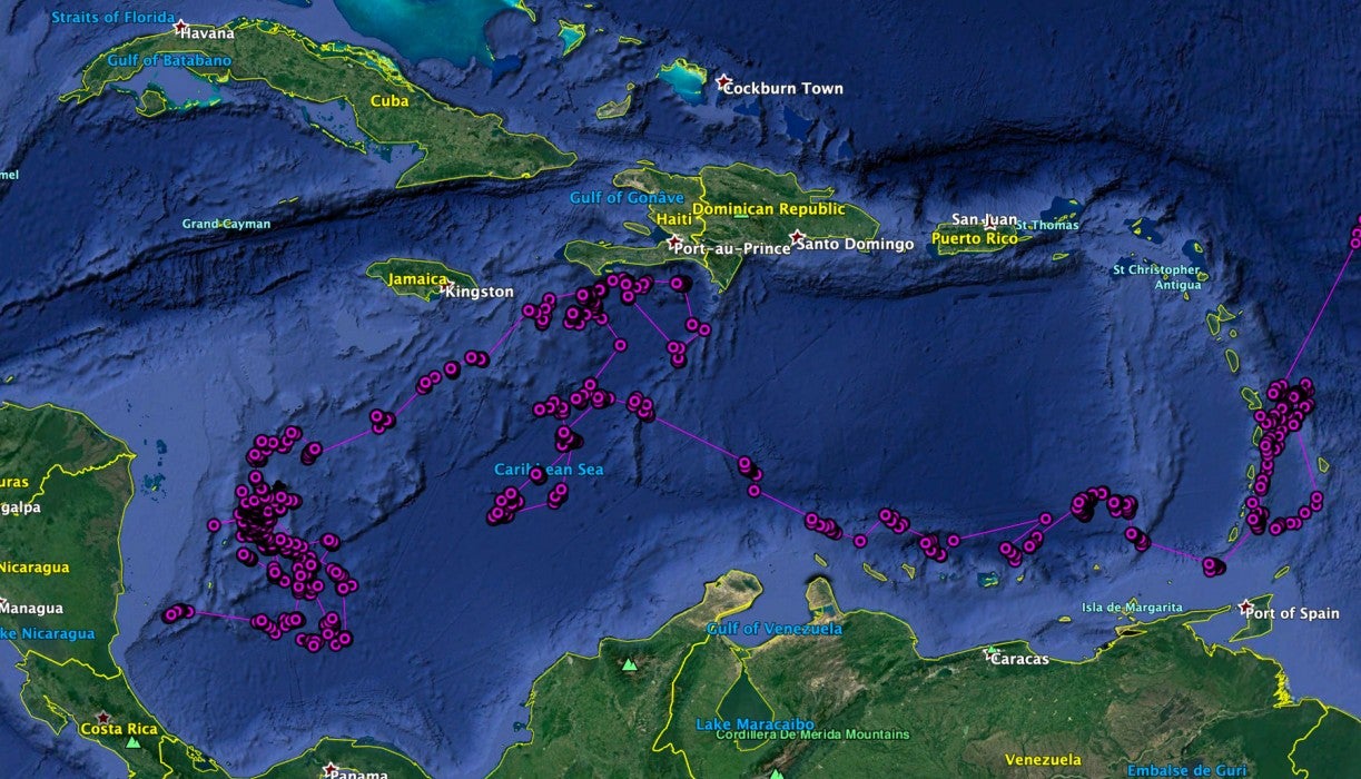 A map of the Caribbean Sea with a line depicting the movements of a seabird, called a jaeger, throughout the area