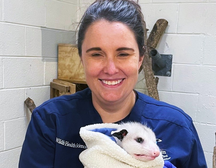 Sarah Napolitano holds an opossum.