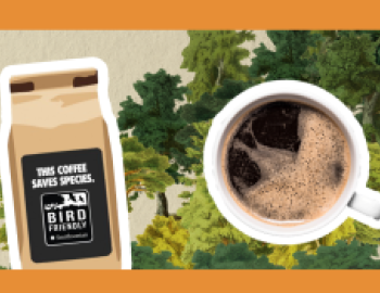 A bag of bird friendly coffee next to a mug filled with coffee; trees are in the background