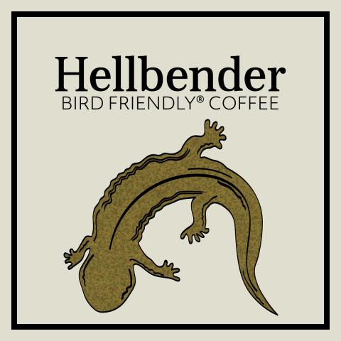 a coffee label with an image of a Hellbender salamander