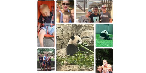 Photo collage featuring several photos of a mother, her young boys, and the Zoo's pandas.