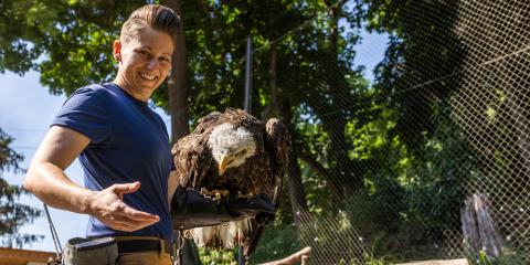Animal keeper Sam Milne smiles at the Zoo's bald eagle, Acadia, who is looking back at Sam. They stand in the bald eagle habitat together, with Acadia perched atop Sam's glove.