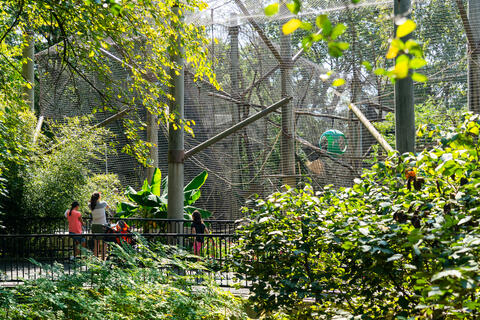 a family visits siamangs at Gibbon Ridge