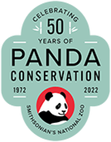panda 50th desktop version