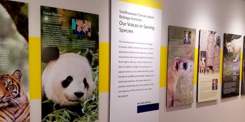 a wide view of multiple photo panels with animals and text