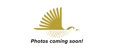 a graphic depiction of a bird in flight with the text "Photos coming soon!" beneath it