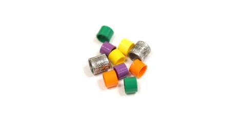 Aluminum and colored bird bands (yellow, purple, orange and green) used for tagging and re-sighting birds.