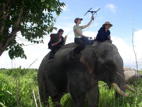 Myanmar Biodiversity | Smithsonian's National Zoo