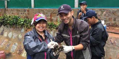 Dr. Yaoyao Mathura and Dr. Marc Valitutto examine an endangered big-headed turtle.