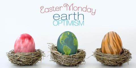 Three eggs sit in individual dry-grass nests. One looks like feathers, the other like the earth and the third one looks like a tiger's stripes. The words "Easter Monday and Earth Optimism" are at the top.