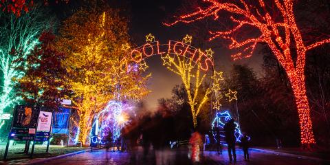 The entrance to the Smithsonian's National Zoo's Zoolights event with trees lit up in red, green, yellow and blue and a lit sign that says "Zoolights"