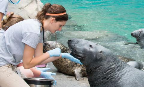 Rebecca Sturniolo and Gunther