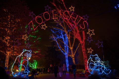 christmas zoo lights