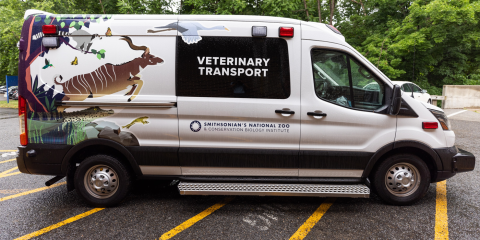 Side view of a large white veterinary transport vehicle (a large truck with a leaping kudu printed on the side). 