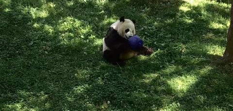 Bei Bei