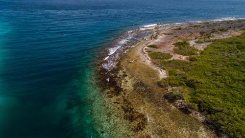 An aerial shot of a curving shoreline in Curacao with clear blue water and a grassy and sandy landscape