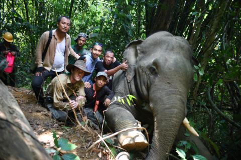 Elephant Team Photo