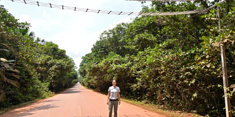 Photo of Fernanda Abra standing underneath a canopy bridge. The bridge is crossing over a road in the Amazon rain forest of Brazil.
