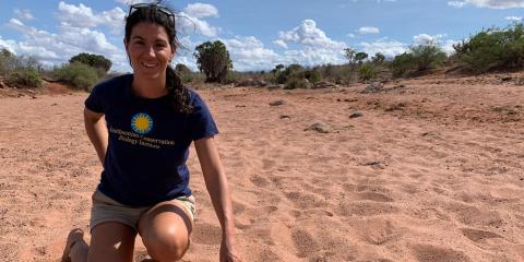 Francesca Vitali takes a knee in a sandy area of Kenya. She's wearing a navy Smithsonian Conservation Biology Institute shirt and is pointing to wildlife footprints in the sand.