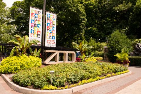 Zoo entrance with icon banners. 