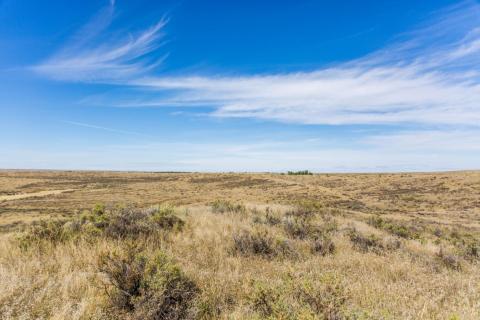 Grasslands of the American Prairie Reserve in Montana under a bright blue sky with a few whispy clouds on a sunny day