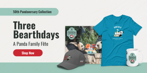 An ad for giant panda merchandise featuring a T-shirt, hat, and mug with the text "50th pandaversary collection; three bearthdays; a panda family fete" and a "Shop Now" button