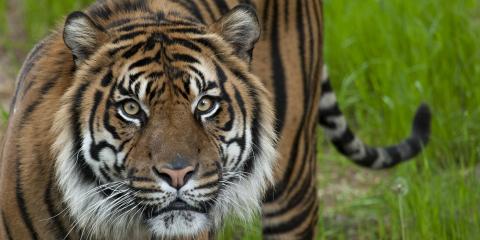 11 Funny Animal Jokes for Kids (and Kids at Heart) | Smithsonian's National Zoo 11 Funny Animal Jokes for Kids (and Kids at Heart) | Smithsonian's National Zoo
