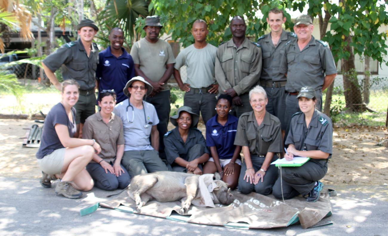 Warthog Wildlife Team