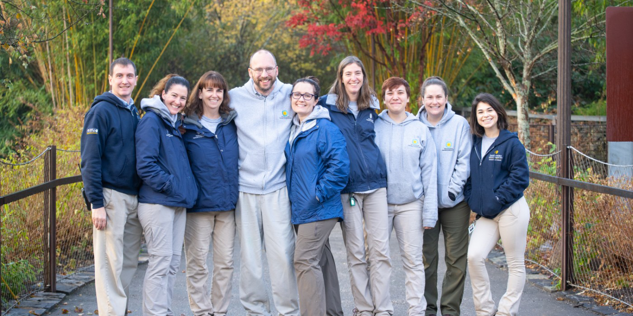 Panda Palooza: A Giant Farewell | Smithsonian's National Zoo and