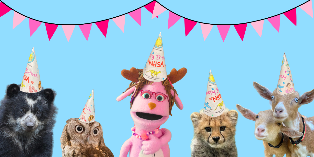 Pinky in birthday hat with baby animals and birthday banner