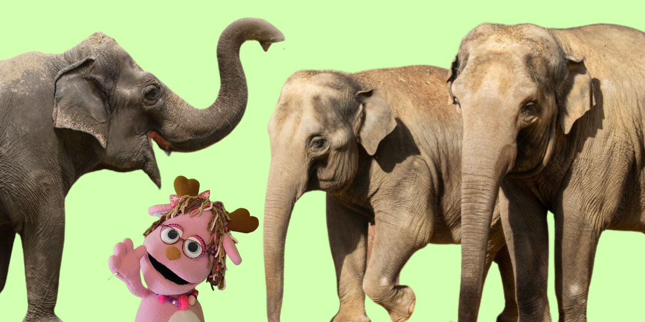 A pink jackalope puppet with curly hair and glasses waves as an elephant to her left raises its trunk over her head and two elephants to her right stand.