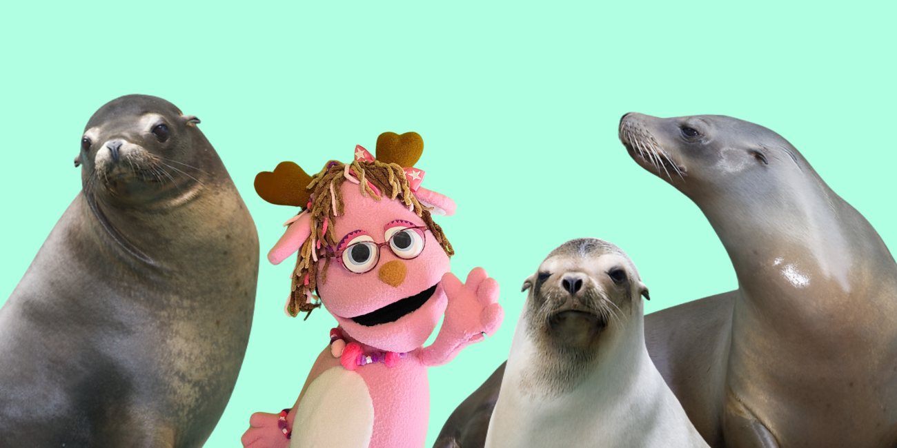 a pink jackalope puppet with curly hair and eyeglasses waves with a sea lion to her left and two sea lions on the right.