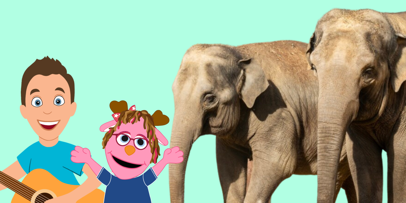 A collage image that includes two grey elephants, a cartoon of a pink jackalope puppet, and a male cartoon character holding a guitar.