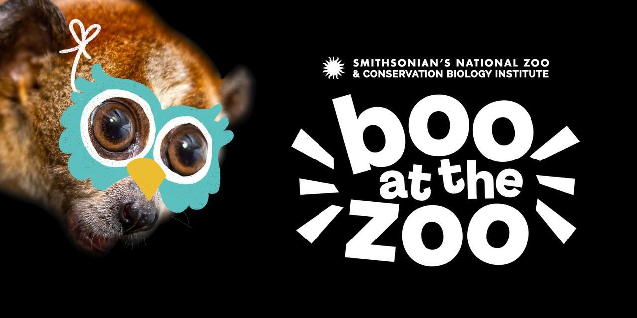 Boo at the Zoo