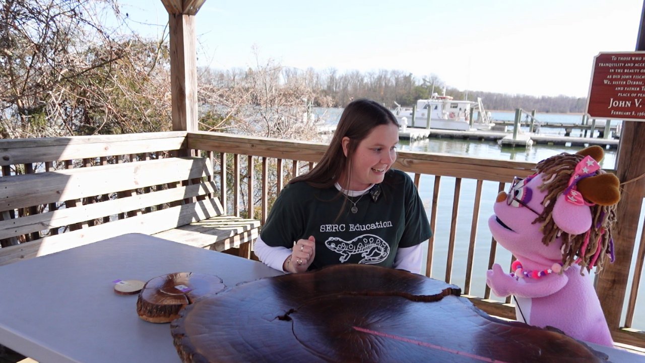 A woman and pink jackalope puppet sit next to each other at a table and are in the middle of a conversation.