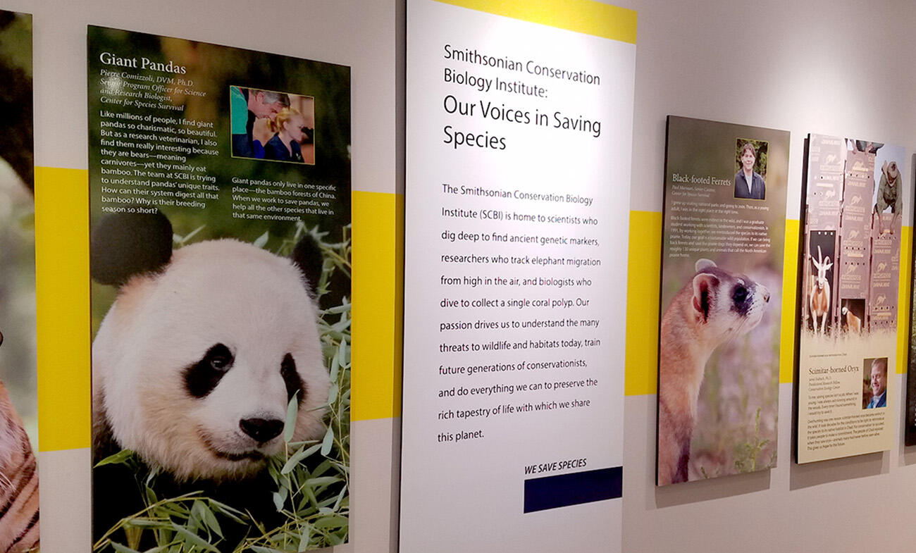 Image featuring wall panels of conservation stories