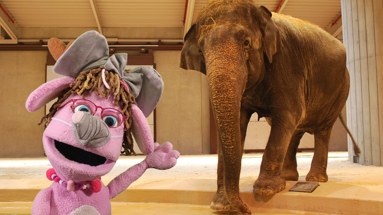 Pinky puppet and elephant