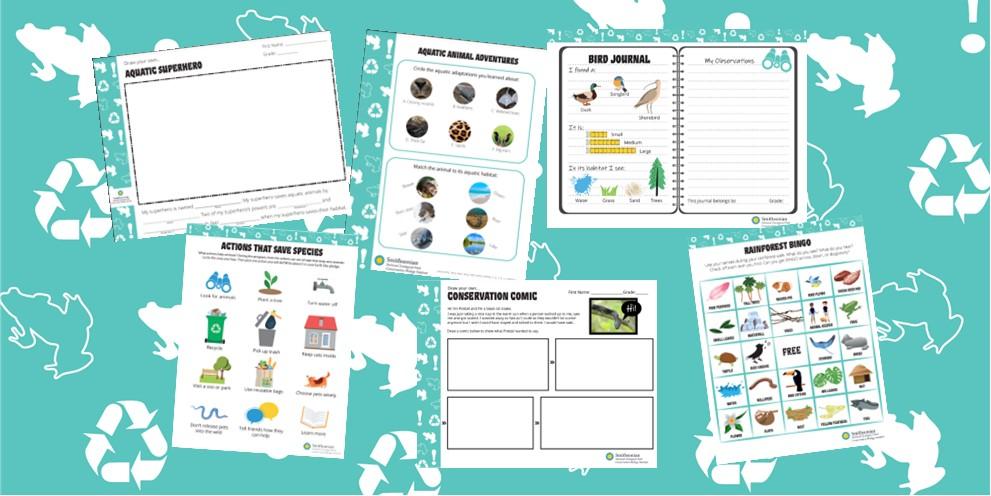 Collage of sample educational activity sheets