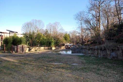 landscape view of elephant yard including pool