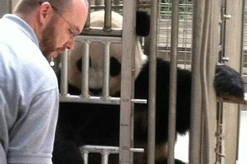 keeper with giant panda