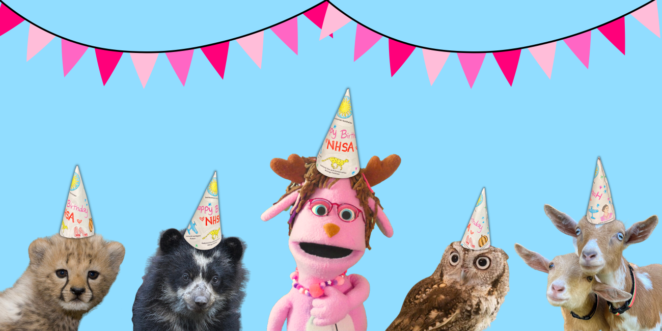 Head Start Pinky and animals in birthday hats