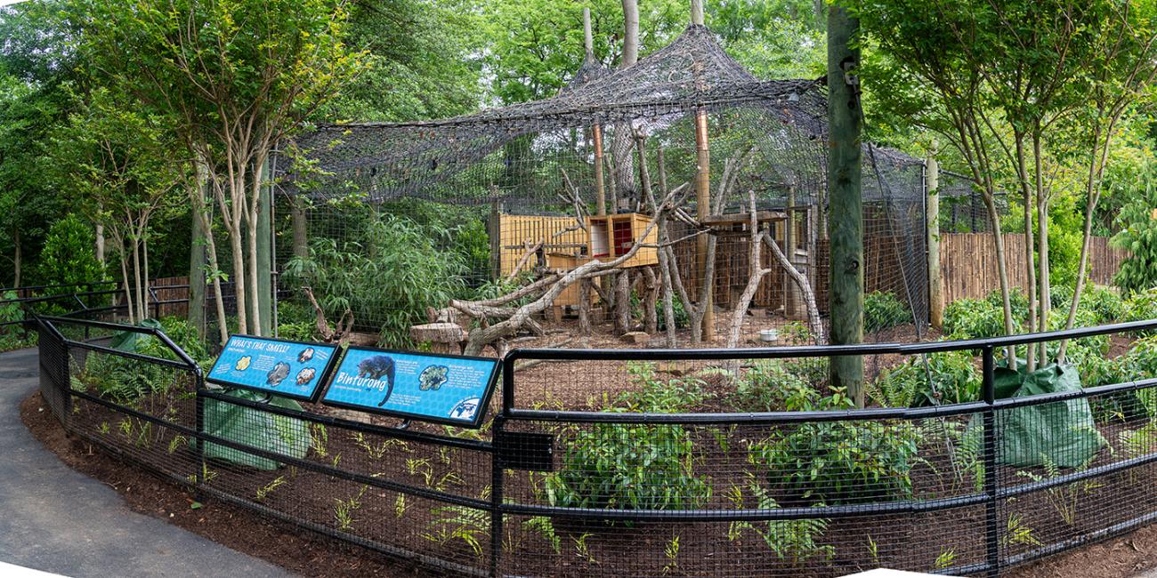 The binturong outdoor exhibit at the Zoo surrounded by a walkway and a railing with two signs