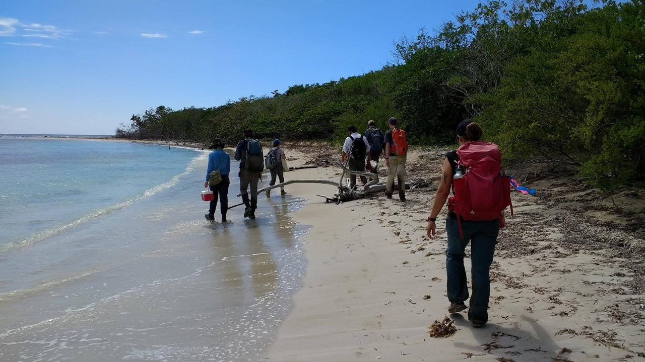 A group of scientists walking on a beach