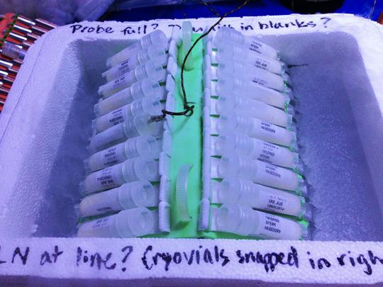 Tubes of sperm are frozen at a specific rate to ensure viability. They will be banked for as an insurance population. Photo by V. Carter