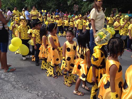 Little girls in Panamanian golden frog patterned dresses. Photos by Brian Gratwicke, Smithsonian Conservation Biology Institute.