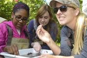 students examine insects in field