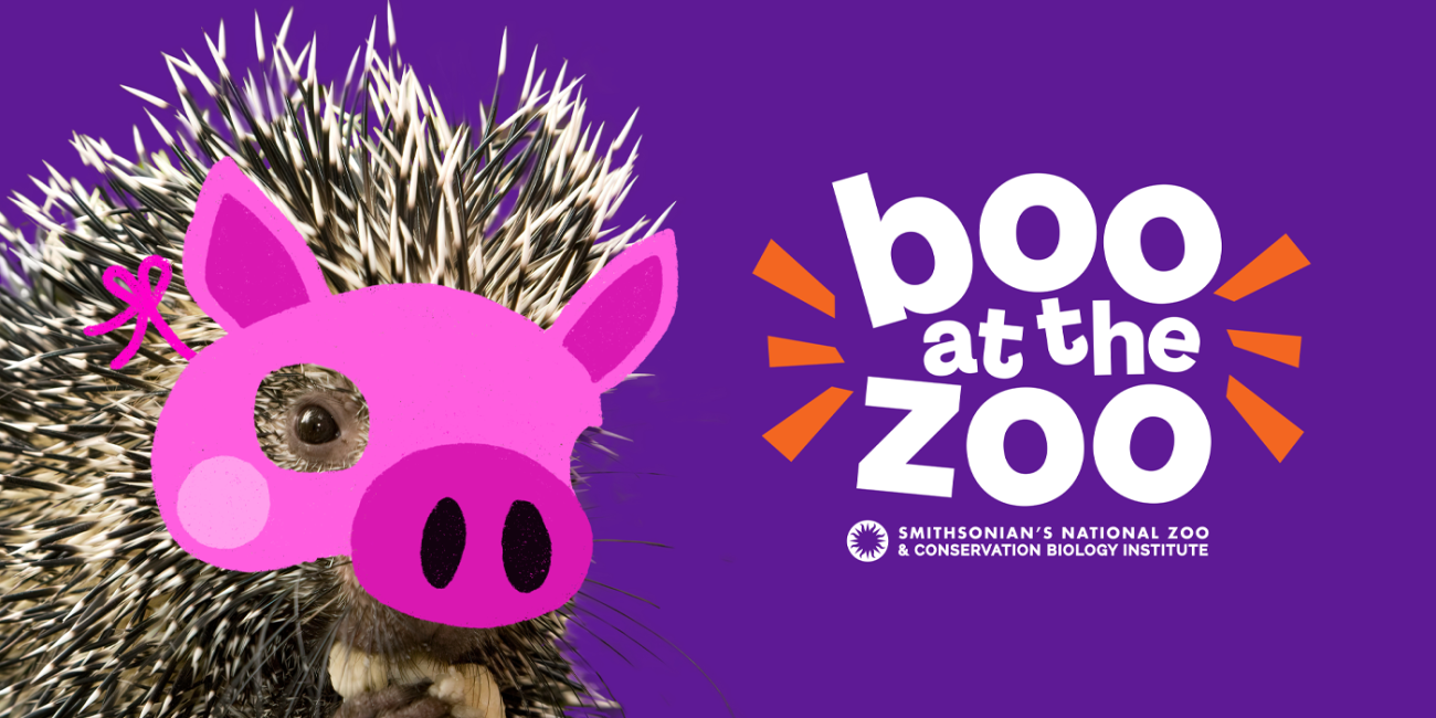 Boo at the Zoo Returns Oct. 20, 21 and 22 Smithsonian's National Zoo