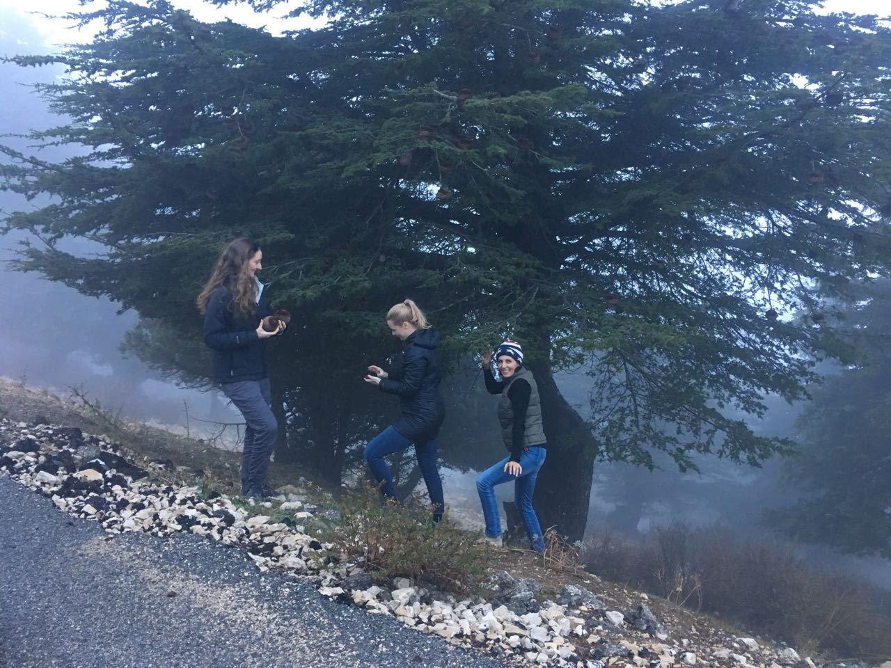 Exploring Lebanon’s cedar forests, which have vanished over the years as the result of logging, invasive species and urbanization. (Photo by Rhea Kahale) 